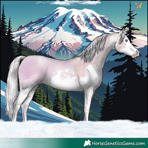 Horse Color:Watercolor Gold Cream Champagne Pearl Splash Tobiano 