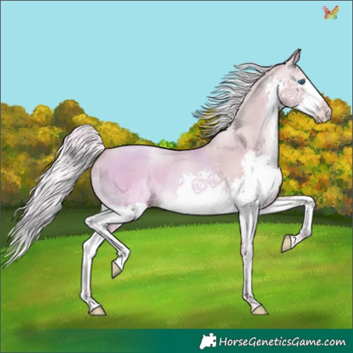 Horse Color:Watercolor Gold Cream Champagne Pearl Splash Tobiano 