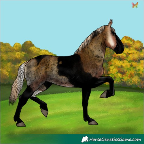 Horse Color:Void Palomino Roan Onyx Splash Tobiano 