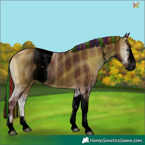 Horse Color:ERROR: UNKNOWN ANOMALY