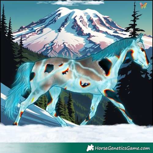 Horse Color:Thunderstruck Brown Onyx Splash 