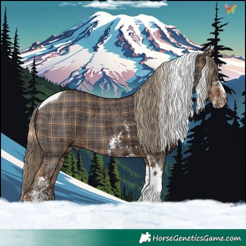 Horse Color:Plaid  Liver Chestnut Sabino Tobiano 