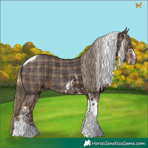 Horse Color:Plaid  Liver Chestnut Sabino Tobiano 
