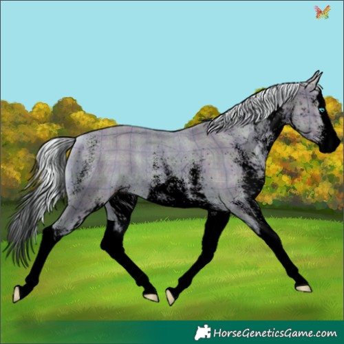 Horse Color:Void Watercolor Plaid White Spotted Cremello Splash