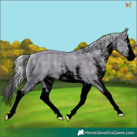 Horse Color:Void Watercolor Plaid  White Spotted Cremello Splash 