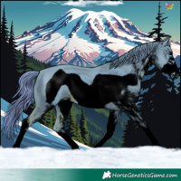 Horse Color:Void Watercolor White Spotted Chestnut Frame
