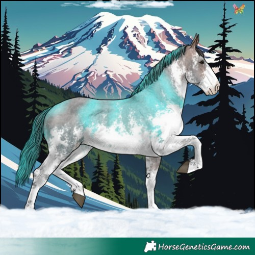 Horse Color:White Spotted Bay Sabino Appaloosa 