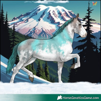 Horse Color:White Spotted Bay Sabino Appaloosa