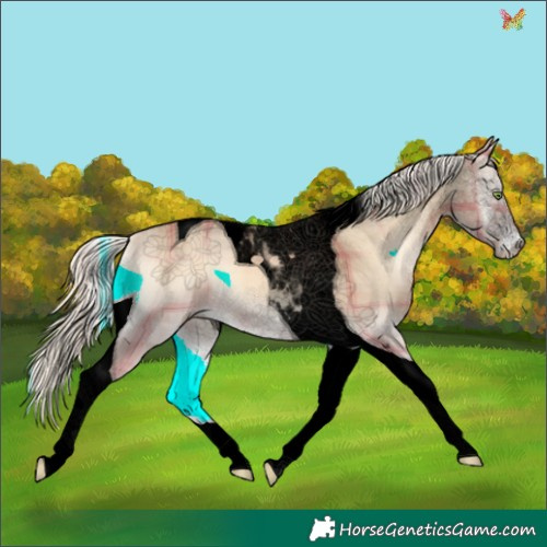 Horse Color:Void Plaid  Cremello Onyx Tobiano 