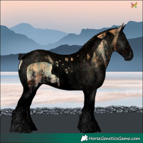 Horse Color:Void Plaid  White Spotted Bay Onyx Splash Tobiano 