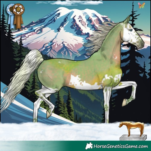 Horse Color:Watercolor Silver Black Splash 