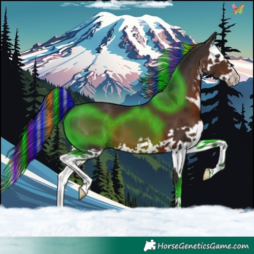 Horse Color:Painted White Spotted Liver Chestnut Splash 