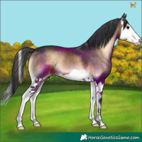 Horse Color:Brown Onyx Splash