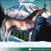 Horse Color:Brown Onyx Splash