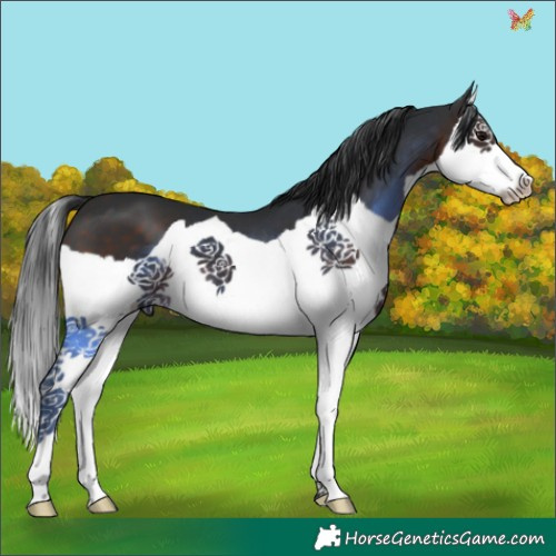 Horse Color:Brown Splash 