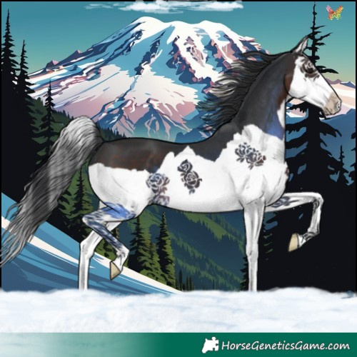 Horse Color:Brown Splash 