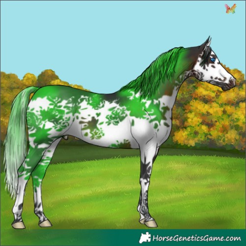 Horse Color:Brown Splash 