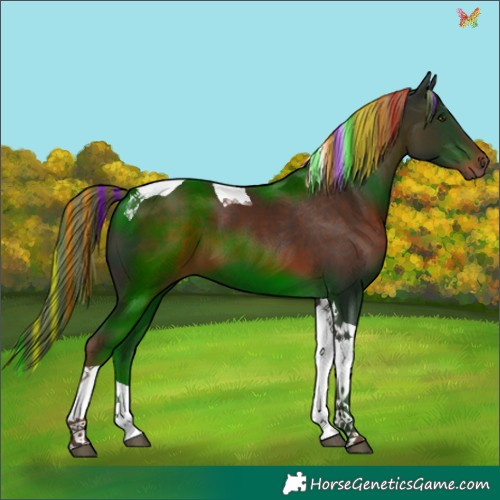 Horse Color:Painted Liver Chestnut Tobiano 