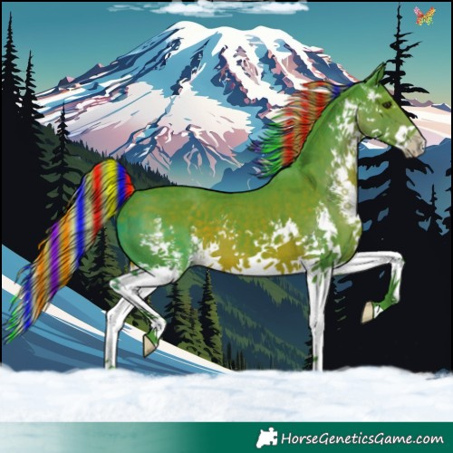 Horse Color:Painted Watercolor White Spotted Liver Chestnut Splash 