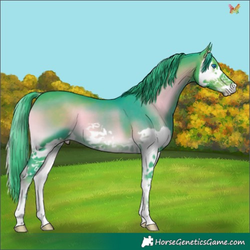 Horse Color:Watercolor Liver Red Onyx Splash 