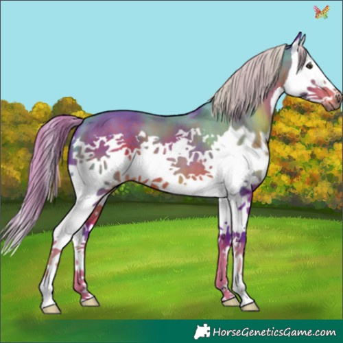 Horse Color:Watercolor Liver Chestnut Splash 