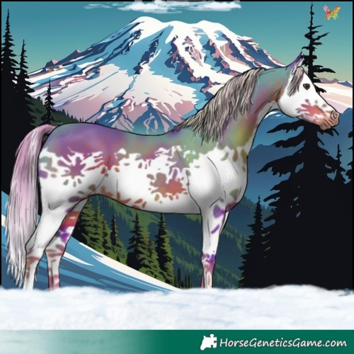 Horse Color:Watercolor Liver Chestnut Splash 