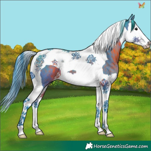 Horse Color:Watercolor Brown Splash Tobiano 