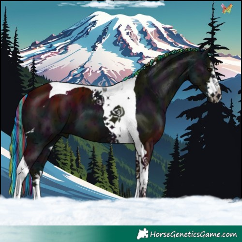 Horse Color:Painted White Spotted Midnight Black Ice Tobiano 