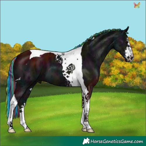 Horse Color:Painted White Spotted Midnight Black Ice Tobiano 