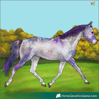 Horse Color:Watercolor Smoky Blue Onyx Ice 