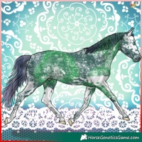 Horse Color:Painted Watercolor Black Ice Splash