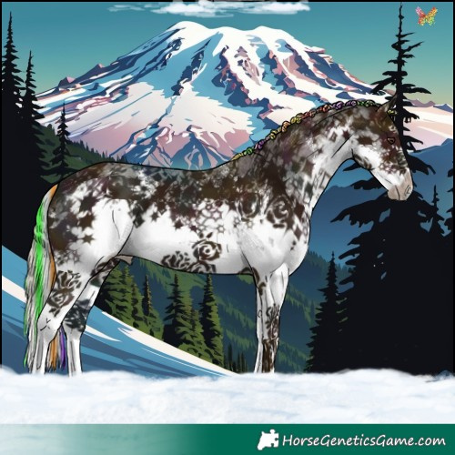 Horse Color:Painted White Spotted Midnight Chestnut Sabino Splash 