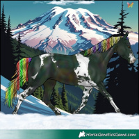Horse Color:Painted Watercolor Midnight Chocolate Palomino Tobiano