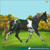 Horse Color:Painted Watercolor Midnight Chocolate Palomino Tobiano