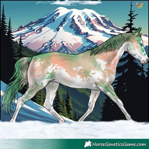 Horse Color:Watercolor Smoky Blue Onyx Splash 