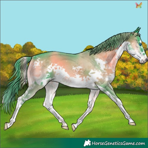 Horse Color:Watercolor Smoky Blue Onyx Splash 