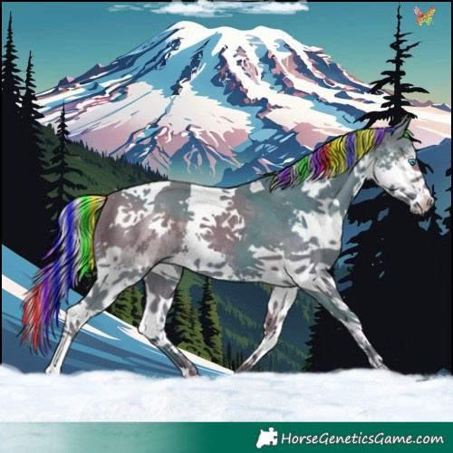 Horse Color:Painted Watercolor Silver Black Splash Tobiano 