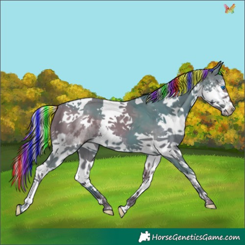Horse Color:Painted Watercolor Silver Black Splash Tobiano 