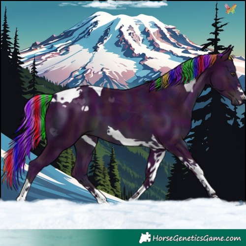 Horse Color:Painted Watercolor Midnight Liver Chestnut Tobiano 