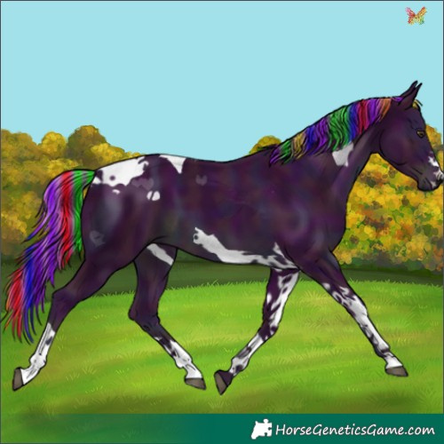 Horse Color:Painted Watercolor Midnight Liver Chestnut Tobiano 