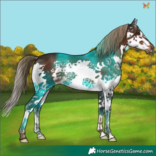 Horse Color:Liver Chestnut Splash 