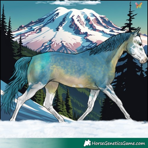 Horse Color:Watercolor Brown Splash 