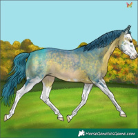 Horse Color:Watercolor Brown Splash 