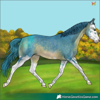 Horse Color:Watercolor Brown Splash 