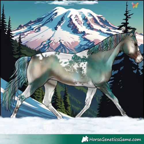 Horse Color:Painted White Spotted Silver Blue Onyx Tobiano 