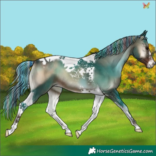 Horse Color:Painted White Spotted Silver Blue Onyx Tobiano 