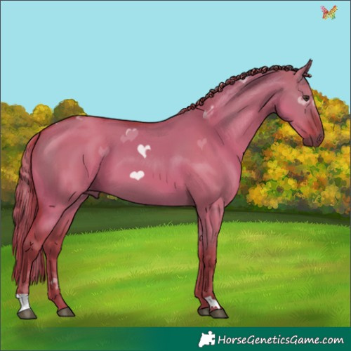 Horse Color:Watercolor Liver Red Dun 