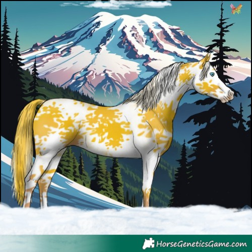 Horse Color:Watercolor White Spotted Liver Chestnut Splash