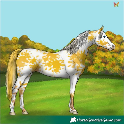 Horse Color:Watercolor White Spotted Liver Chestnut Splash 