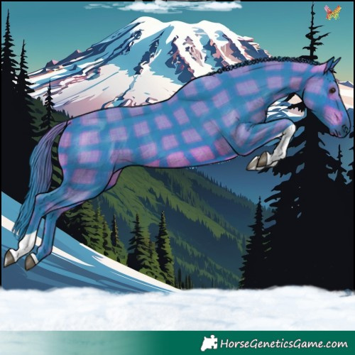 Horse Color:Watercolor Plaid Brown Tobiano